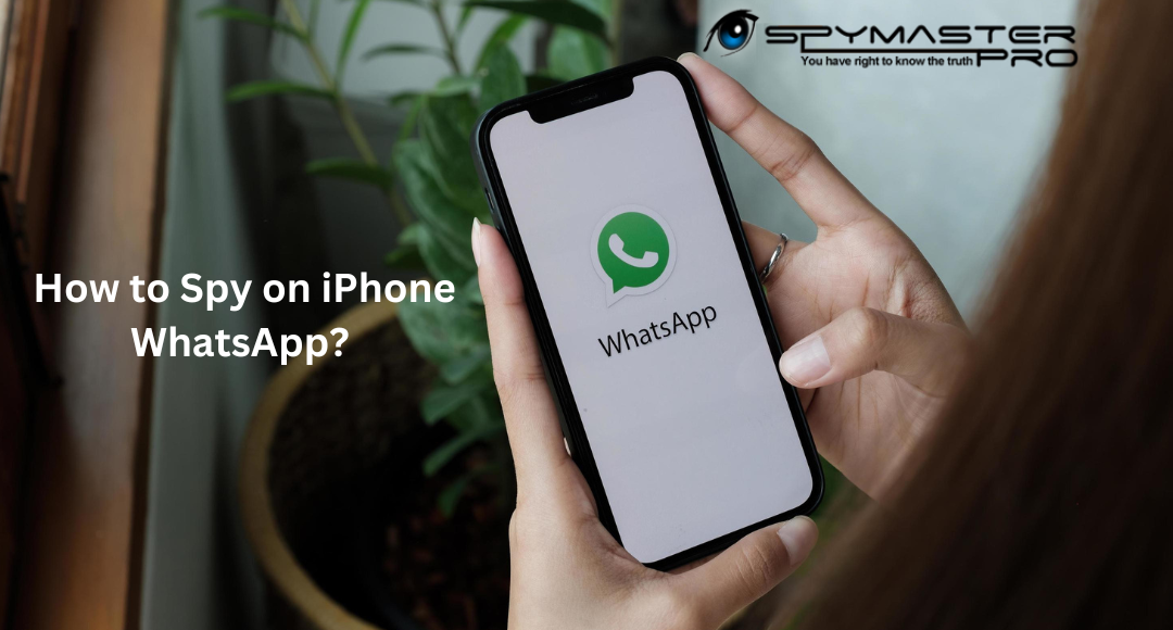 How to Spy on iPhone WhatsApp?